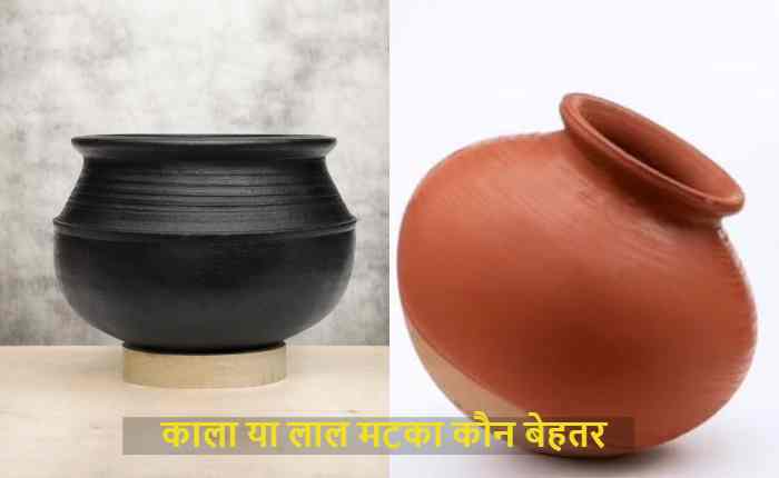 काला या लाल मटका कौन बेहतर?