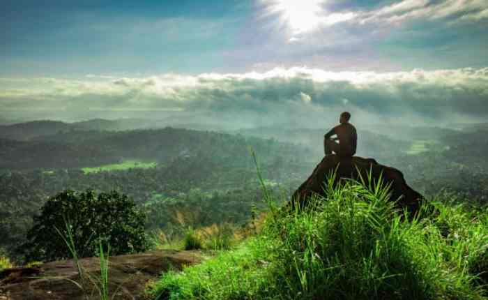 शांत स्वभाव क्या दर्शाता है?