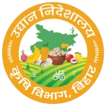 Vegetable Farming Subsidy: बिहार में टमाटर, मिर्च और पत्ता गोभी की खेती पर मिलेगा ₹24,000 का अनुदान, जानें पूरी प्रक्रिया