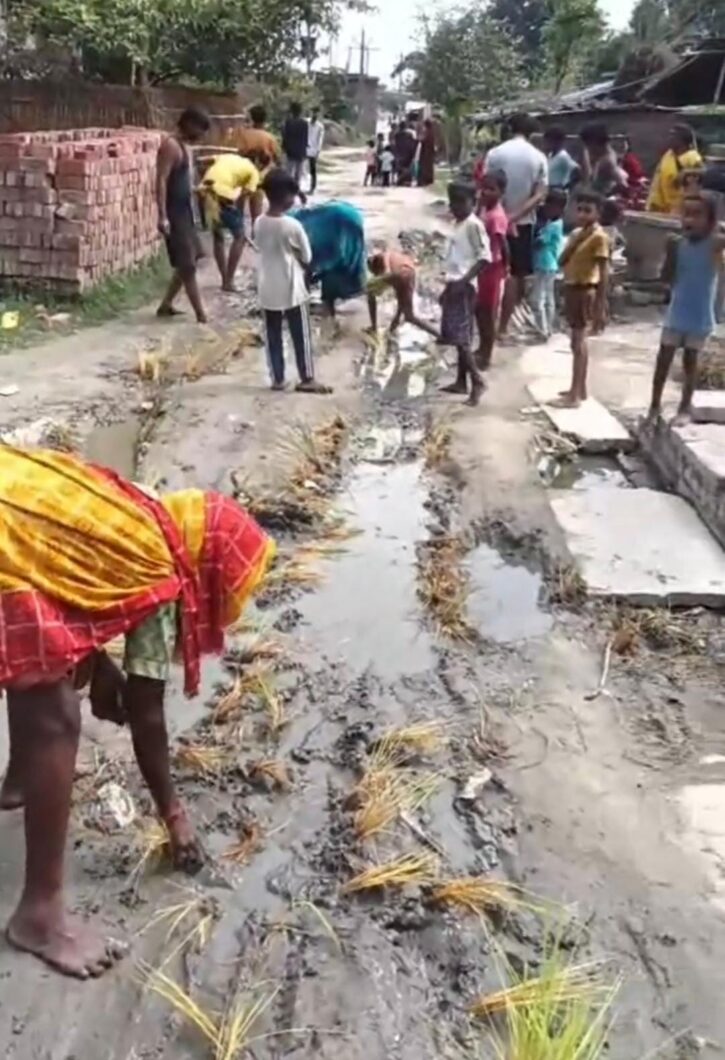 कोहरगड्डी सड़क पर धान की रोपाई