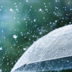 UP Weather Today: Noida से Lucknow तक 50 जिलों में बारिश का Alert, जानें अपने जिले का हाल